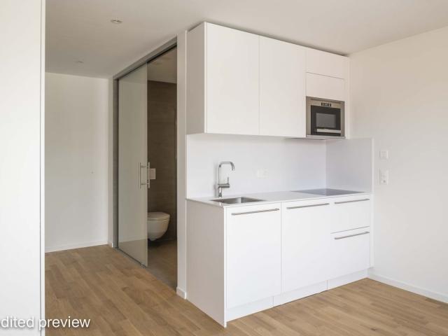 Rent a 1 room apartment in Zürich Flatfox
