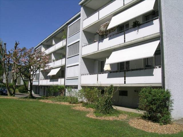 Rent a 1 room apartment in Aarau Flatfox
