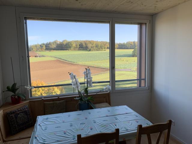 Rent a 1 room apartment in Adlikon b. Regensdorf Flatfox