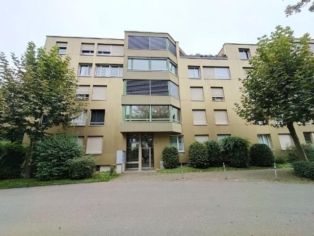 Rent a 1 room apartment in Baden Flatfox