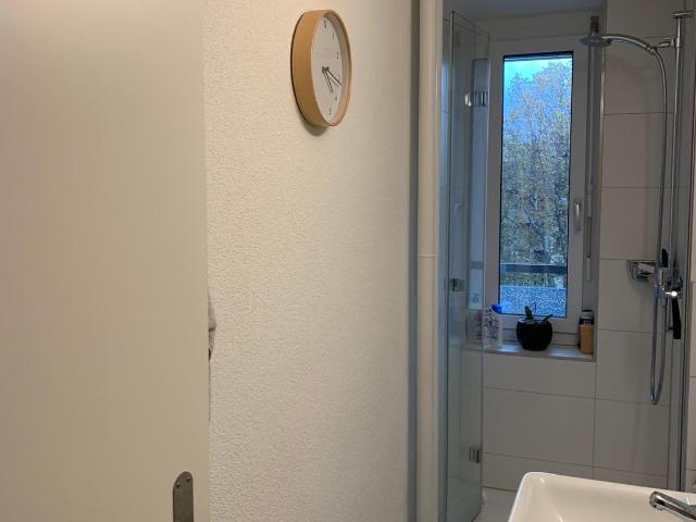 Rent a 1 room apartment in Basel Flatfox
