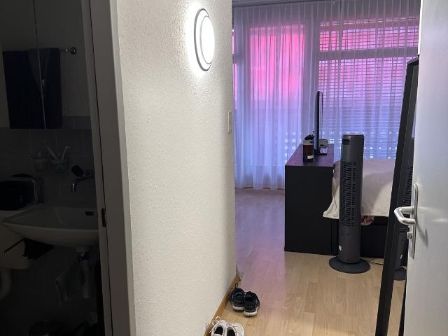 Rent a 1 room apartment in Bern Flatfox