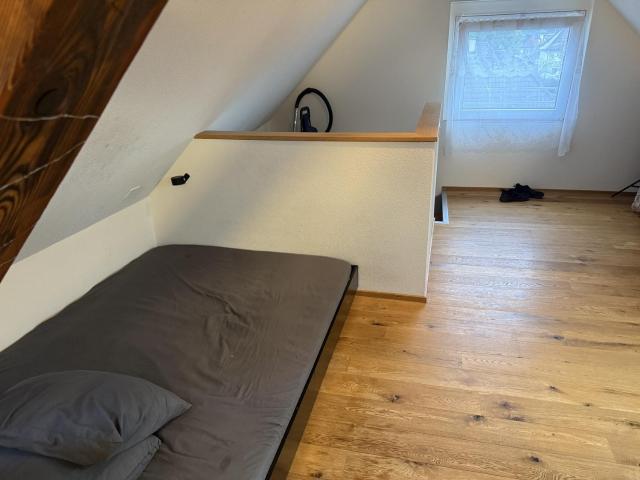Rent a 1 room apartment in Birsfelden Flatfox