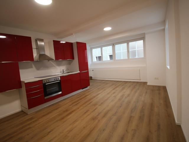 Rent a 1 room apartment in Brugg Flatfox