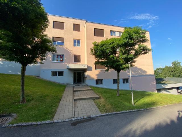 Rent a 1 room apartment in Büron Flatfox