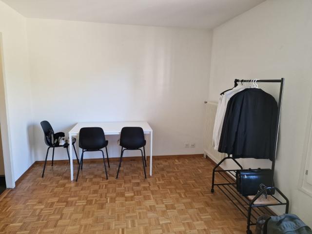 Rent a 1 room apartment in Carouge Flatfox