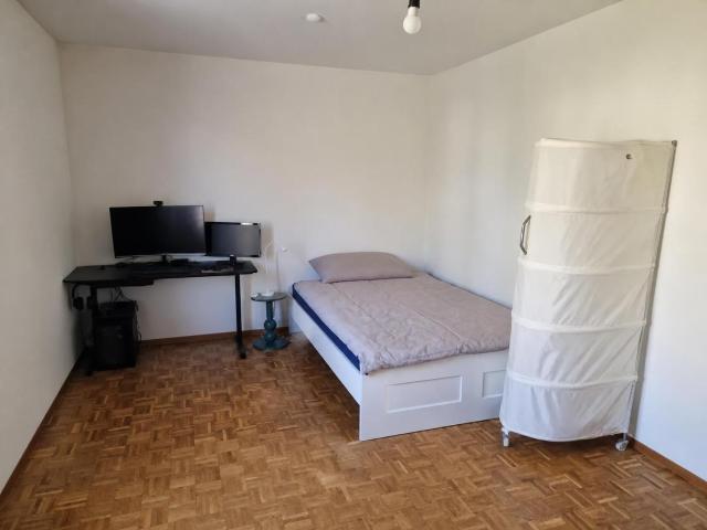 Rent a 1 room apartment in Carouge Flatfox