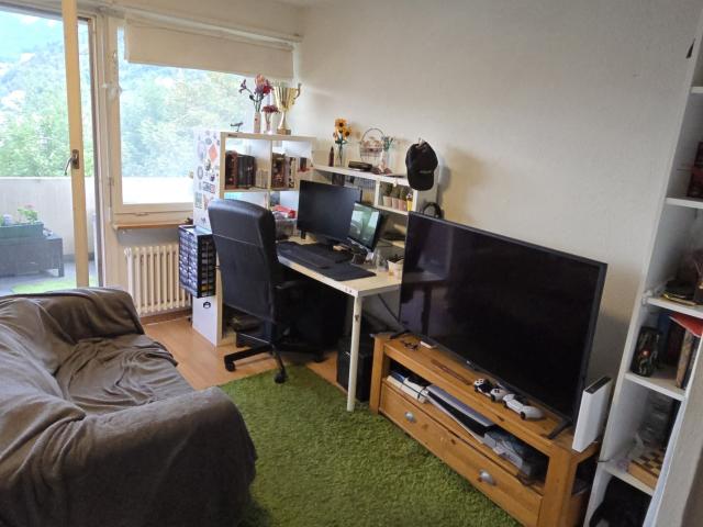 Rent a 1 room apartment in Chur Flatfox