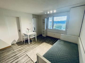 Rent a 1 room apartment in Ebikon Flatfox