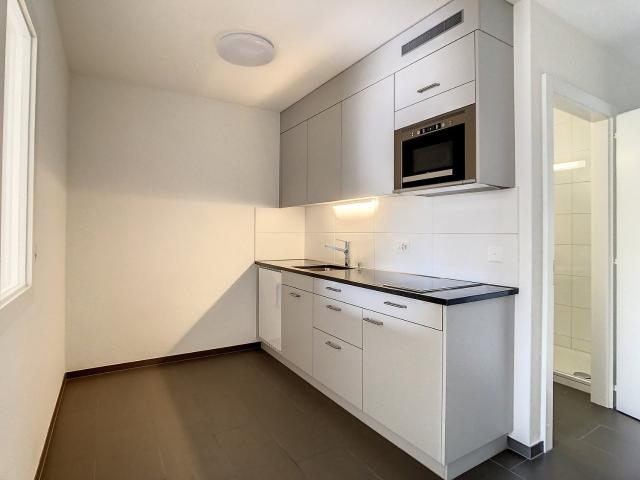 Rent a 1 room apartment in Estavayer le lac Flatfox