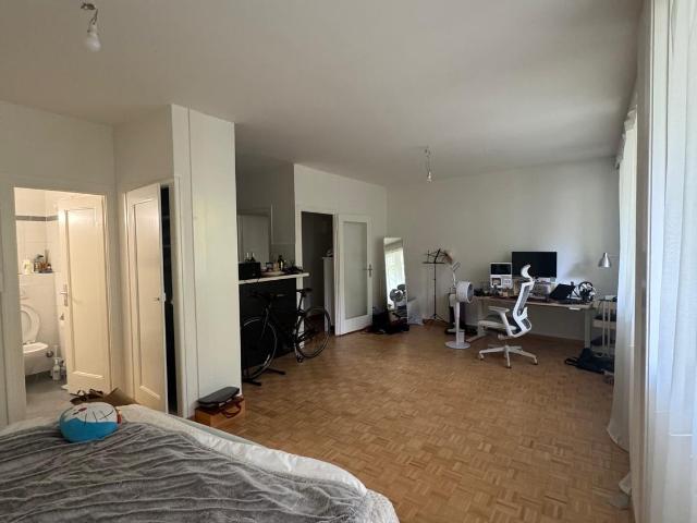 Rent a 1 room apartment in Geneva Flatfox