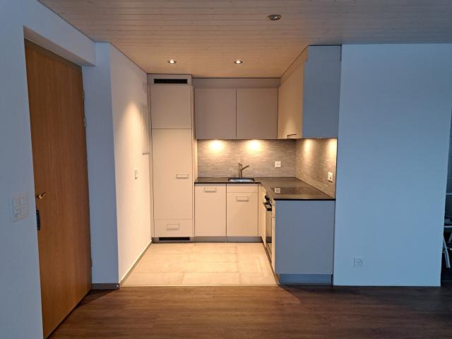 Rent a 1 room apartment in Ibach Flatfox