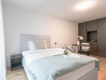 Rent a 1 room apartment in Kloten Flatfox