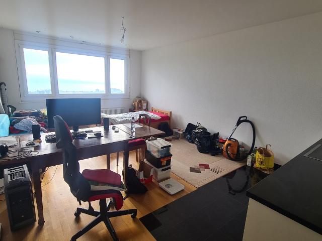 Rent a 1 room apartment in Lausanne Flatfox