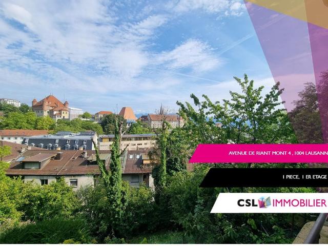 Rent a 1 room apartment in Lausanne Flatfox