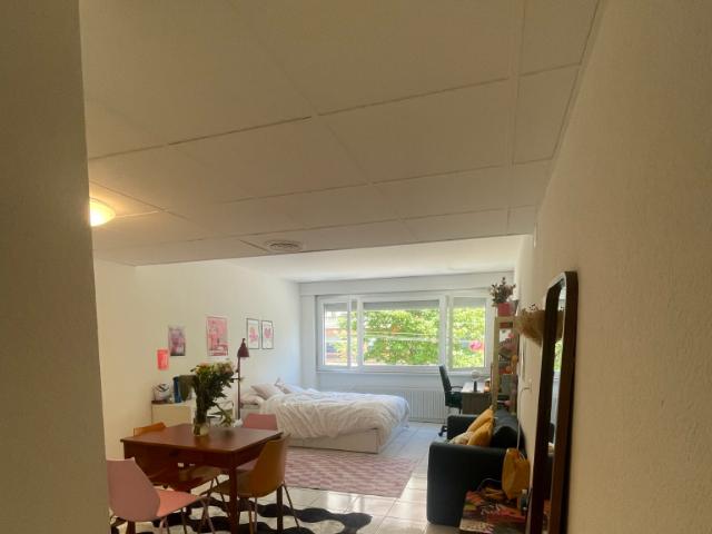 Rent a 1 room apartment in Lausanne Flatfox