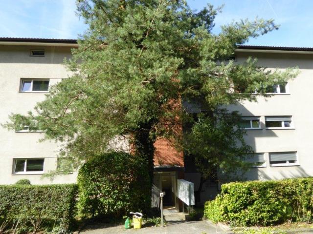 Rent a 1 room apartment in Liestal Flatfox