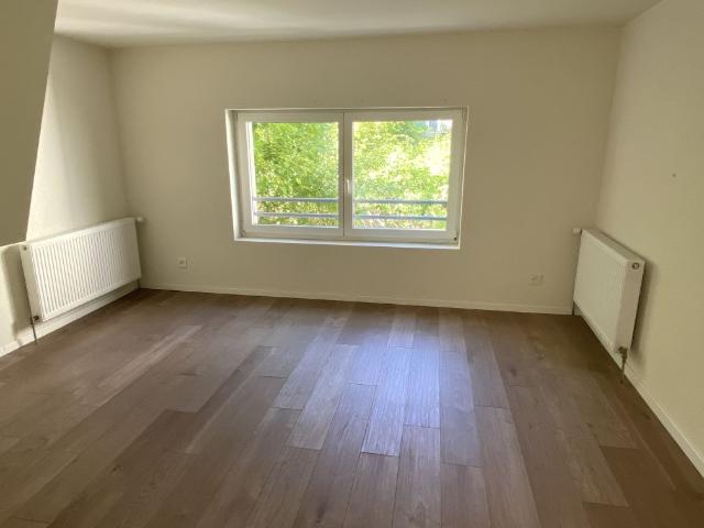 Rent a 1 room apartment in Liestal Flatfox