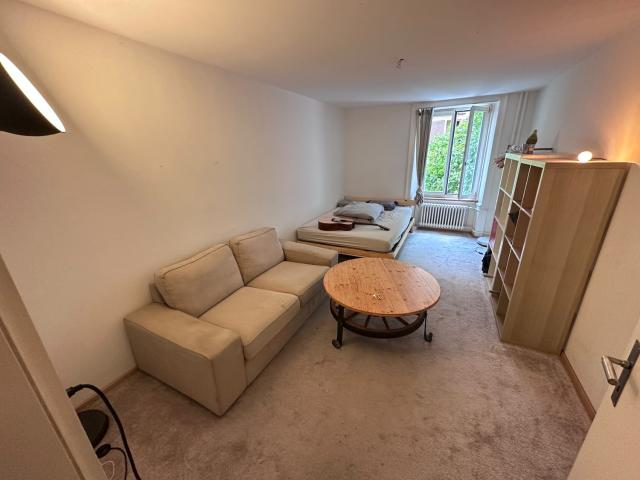 Rent a 1 room apartment in Luzern Flatfox
