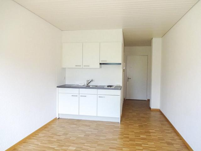 Rent a 1 room apartment in Muralto Flatfox