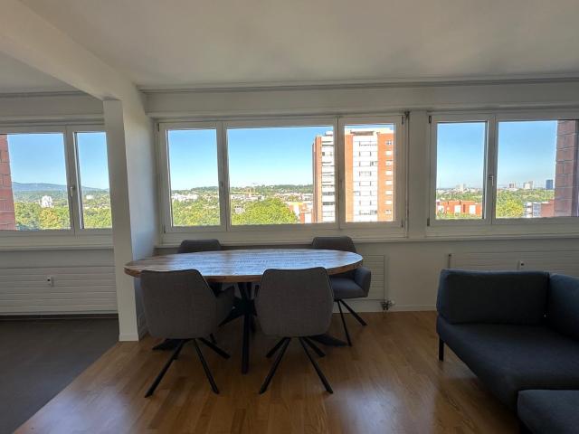 Rent a 1 room apartment in Muttenz Flatfox