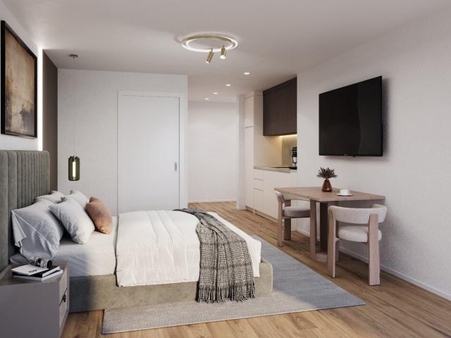 Rent a 1 room apartment in Muttenz Flatfox