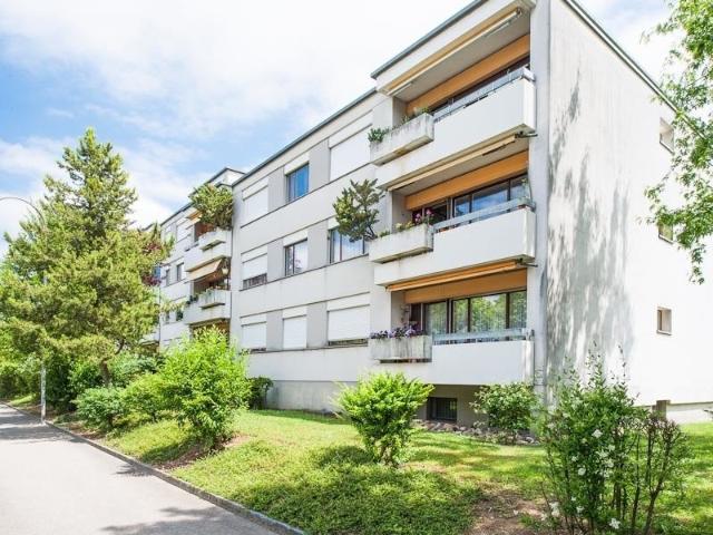 Rent a 1 room apartment in Muttenz Flatfox