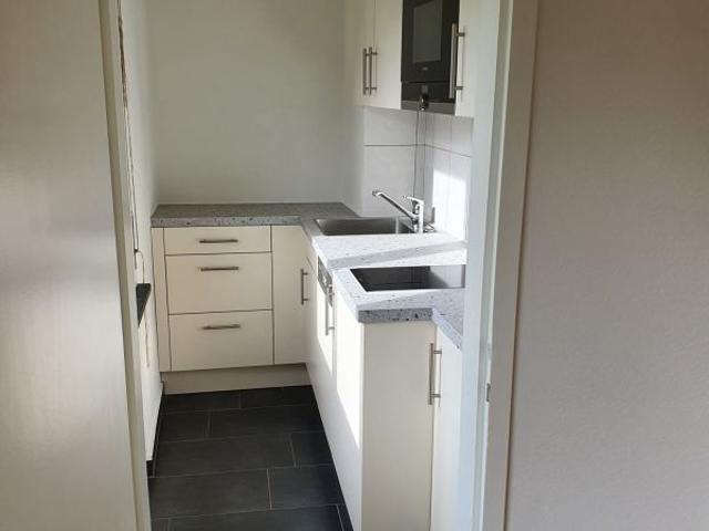 Rent a 1 room apartment in Olten Flatfox
