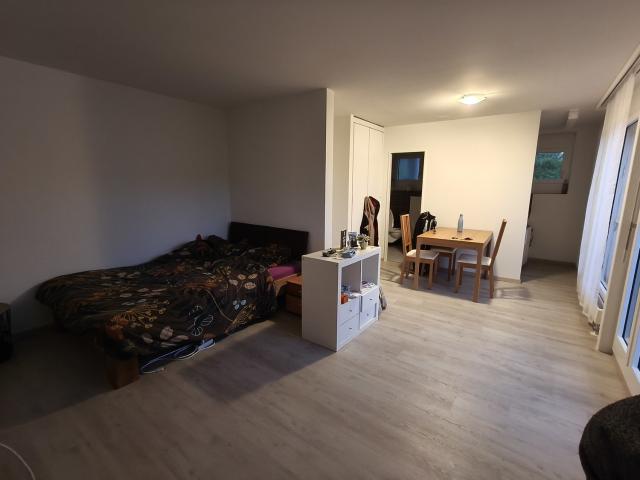 Rent a 1 room apartment in Olten Flatfox