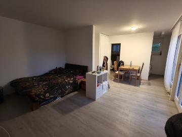 Rent a 1 room apartment in Olten Flatfox