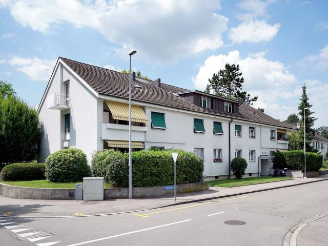 Rent a 1 room apartment in Riehen Flatfox