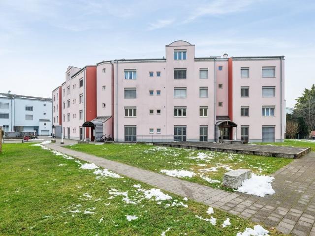 Rent a 1 room apartment in Rothrist Flatfox