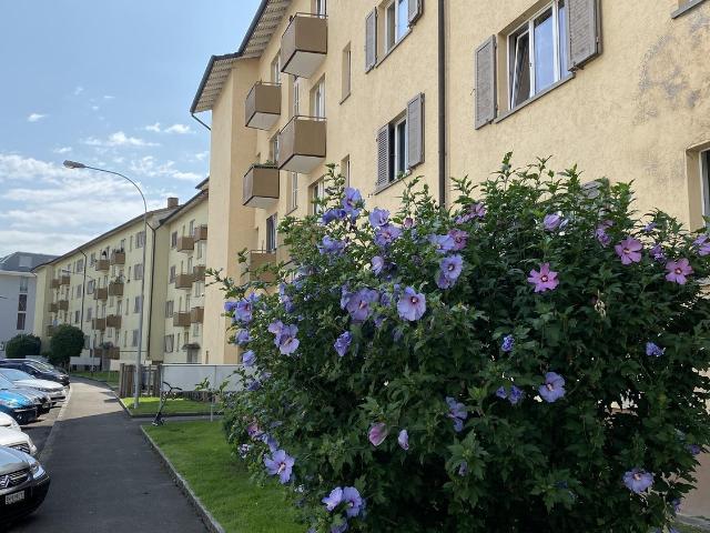 Rent a 1 room apartment in Schlieren Flatfox