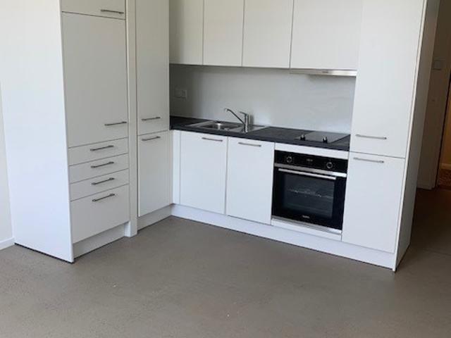 Rent a 1 room apartment in Solothurn Flatfox