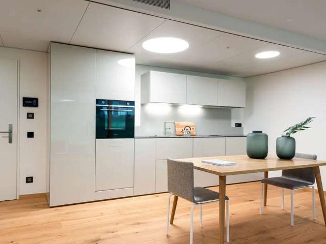 Rent a 1 room apartment in Stabio Flatfox