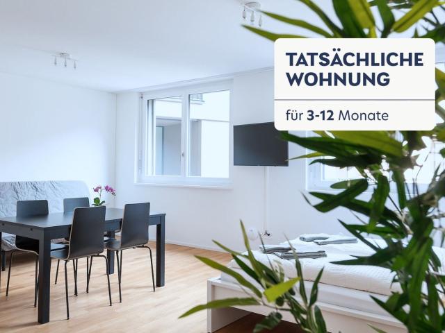 Rent a 1 room furnished flat in Basel Flatfox