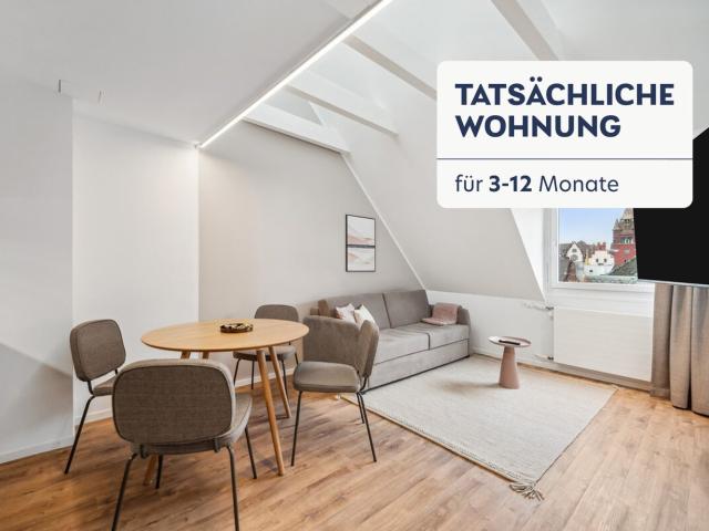 Rent a 1 room furnished flat in Basel Flatfox