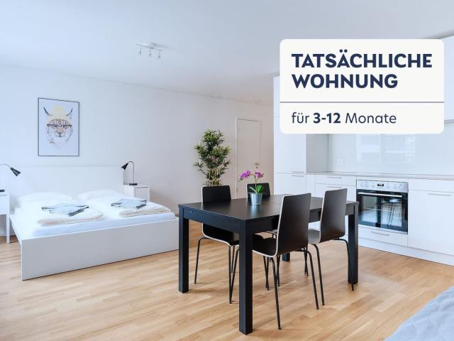 Rent a 1 room furnished flat in Basel Flatfox