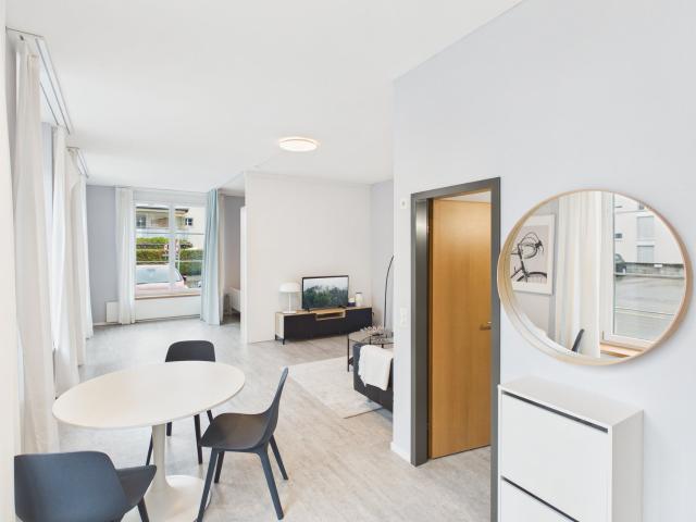 Rent a 1 room furnished flat in Bischofszell Flatfox
