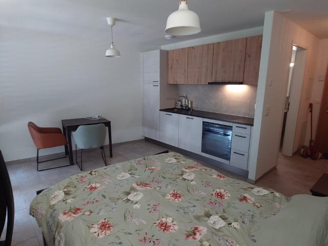 Rent a 1 room furnished flat in Crissier Flatfox