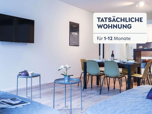 Rent a 1 room furnished flat in Luzern Flatfox