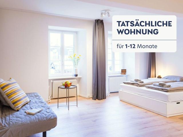 Rent a 1 room furnished flat in Luzern Flatfox