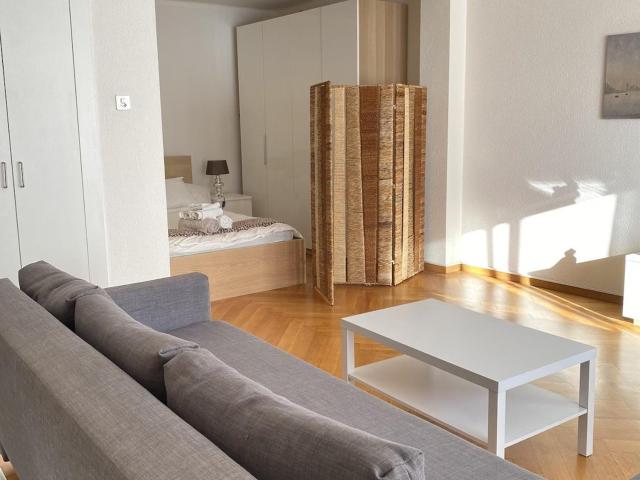 Rent a 1 room furnished flat in Lausanne Flatfox