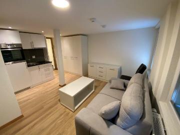 Rent a 1 room furnished flat in Schwyz Flatfox