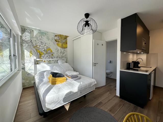 Rent a 1 room furnished flat in Sion Flatfox