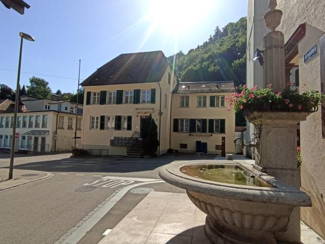 Rent a 1 room furnished flat in Waldenburg Flatfox