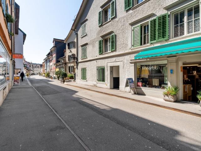 Rent a 1 room furnished flat in Winterthur Flatfox