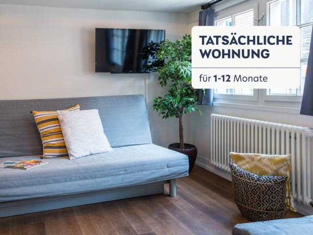 Rent a 1 room furnished flat in Zürich Flatfox