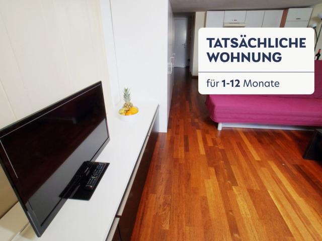 Rent a 1 room furnished flat in Zürich Flatfox