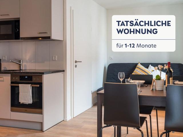Rent a 1 room furnished flat in Zürich Flatfox